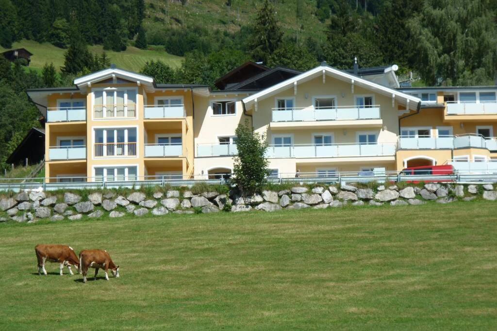 Apartment Hohe Tauern ピーゼンドルフ エクステリア 写真