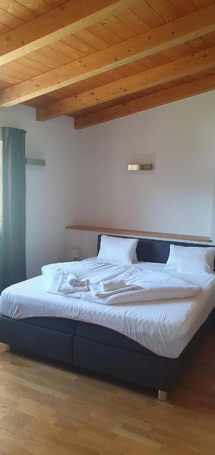 Apartment Hohe Tauern ピーゼンドルフ エクステリア 写真